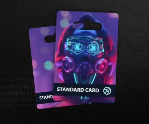 Standard Card в Cyber Rebellion