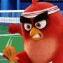 В режиме пробного запуска вышла мультиплеерная Angry Birds Tennis