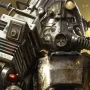 Продвинутый гайд по Fallout Shelter Online: правильная застройка, вкачивание SPECIAL и создание сверхлюдей