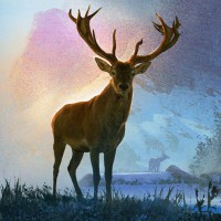 Deer Hunter World: The Hunt