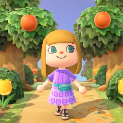 Animal Crossing: Pocket Camp