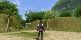 Скриншот Final Fantasy XI mobile #1