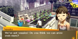 Скриншот Persona 4 Golden #3