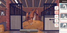 Скриншот Equestrian the Game #2