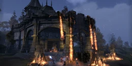 Скриншот The Elder Scrolls Online #4