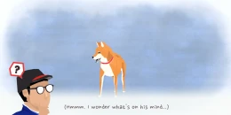 Скриншот A Shiba Story #3