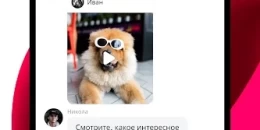 Скриншот Likee #3