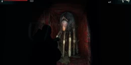 Скриншот Wall Of Insanity 2 #4