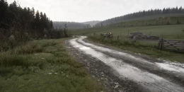 Скриншот Assetto Corsa Rally #2