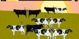 Скриншот Real Vampires #3