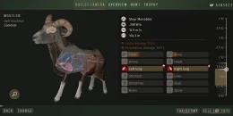 Скриншот WOTH Europe: Try & Buy #3