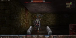 Скриншот Dungeons of DUSK #4