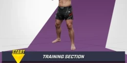 Скриншот UFC: KO! #4