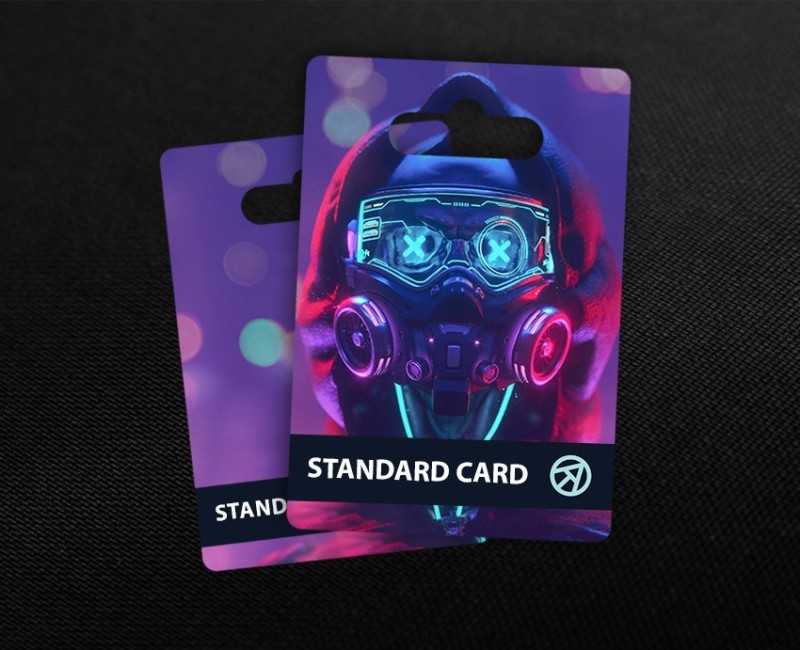 Standard Card в Cyber Rebellion