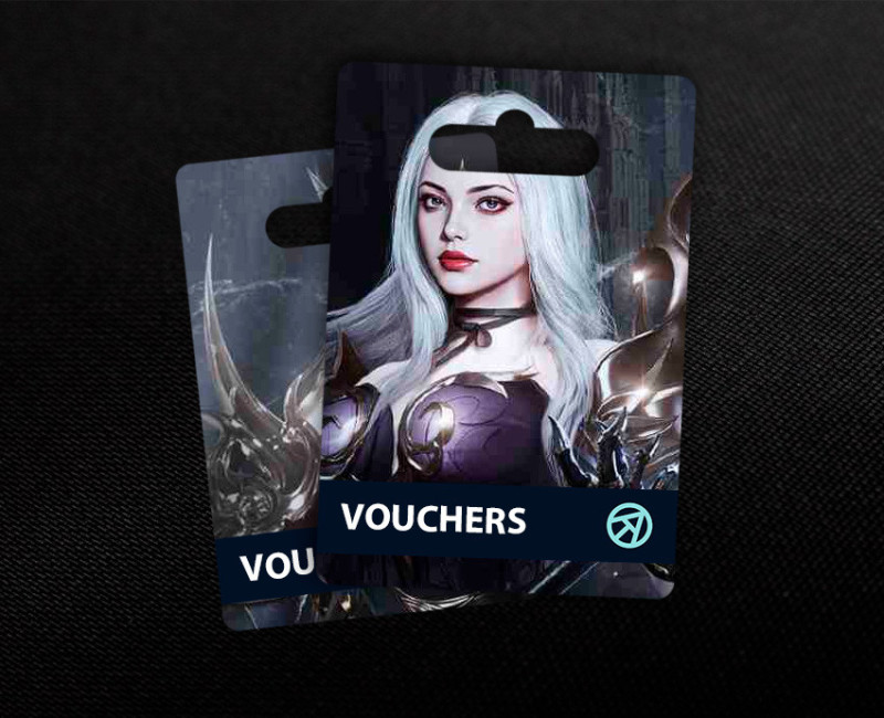 328 Vouchers в Ashes of Valhalla