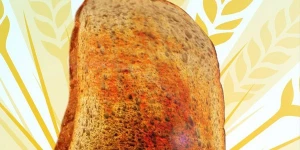 После Surgeon Simulator появится симулятор хлеба