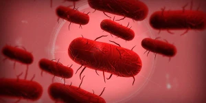 Вирус Эбола сделал Plague Inc. ещё популярнее