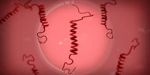 Правительства против Санты в свежем обновлении Plague Inc.