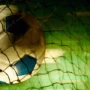 Выход футбольной аркады Active Soccer 2 намечен на 30 января
