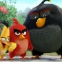 Angry Birds - свежие кадры из предстоящего фильма