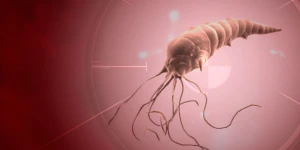 Plague Inc в обновлении получит пользовательский контент