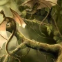 Игра с дополненной реальностью Farhave‪n‬ вышла в App Store: драконы, феи и герои
