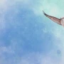 Wingspan — необычная карточная игра про птиц и спокойствие на iOS