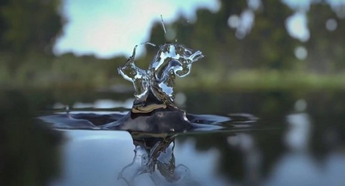 Симулятор рыбака Fishing Planet выпустили в ряде стран