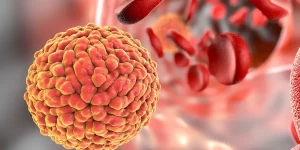 Возглавьте Всемирную организацию здравоохранения в VIRUS: The Outbreak