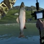 Состоялся релиз Ultimate Fishing Mobile на Android