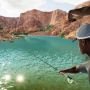 Симулятор рыбалки Royal Fish: Fishing Game предлагает мультиплеер на 50 человек