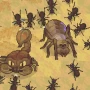 Ant Colony: Wild Forest это мобильный симулятор муравейника