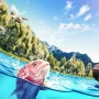 Fishing Master может быть лучшим симулятором рыбалки на смартфонах