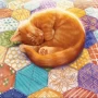 Анонсирована мобильная версия Quilts & Cats of Calico — настольной игры на 1-4 игроков