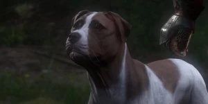 Как накормить Барбоса на старте Kingdom Come: Deliverance II?