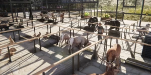 Гайд по животноводству в Once Human: зачем нужно, как это работает и как разводить животных