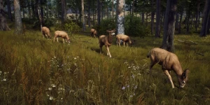 Состоялся релиз симулятора охотника Way of the Hunter: Wild America