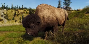 В Way of the Hunter: Wild America можно бесплатно поиграть 1 час