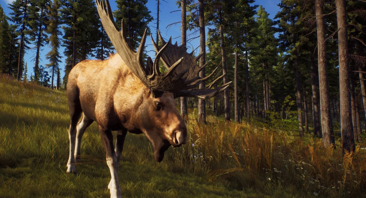 HandyGames делает Way of the Hunter: Wild Europe для смартфонов