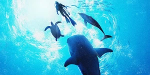 Создатели Rise of Arks проводят софт-запуск «выживача» Endless Sea