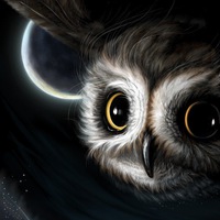 May Owl