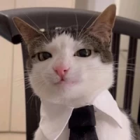 Владислав Шевченко